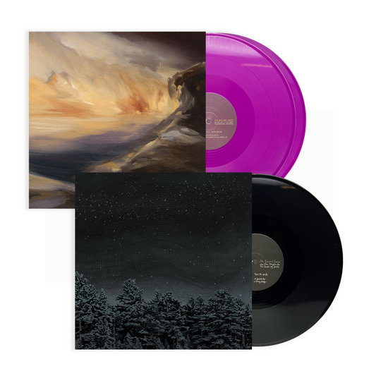 The Besnard Lakes - The Besnard Lakes are the Prayers for the Death of Fame